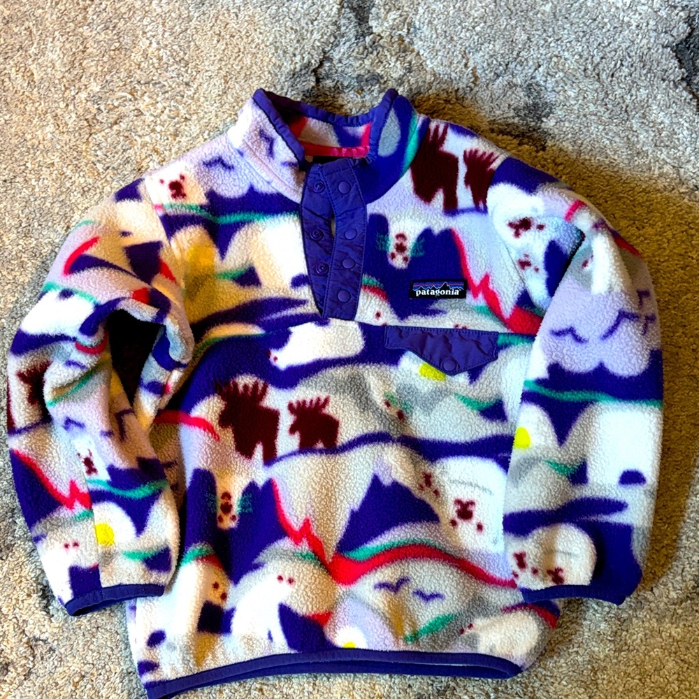 Patagonia Toddler Synchilla Pull Over